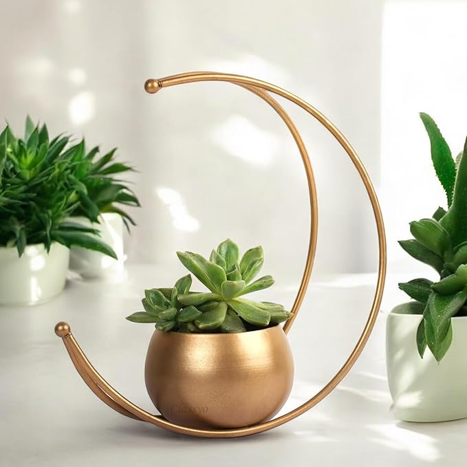 Glass Decorative Vase
